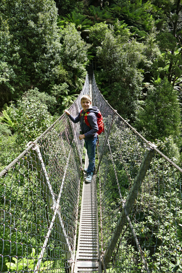 Hanging Bridge at Montezuma Falls