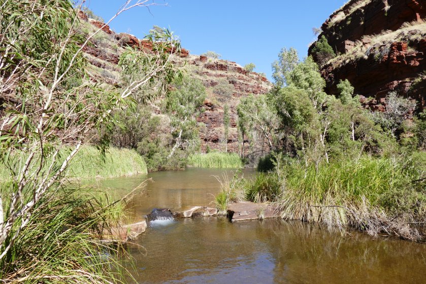 Along Dales Gorge