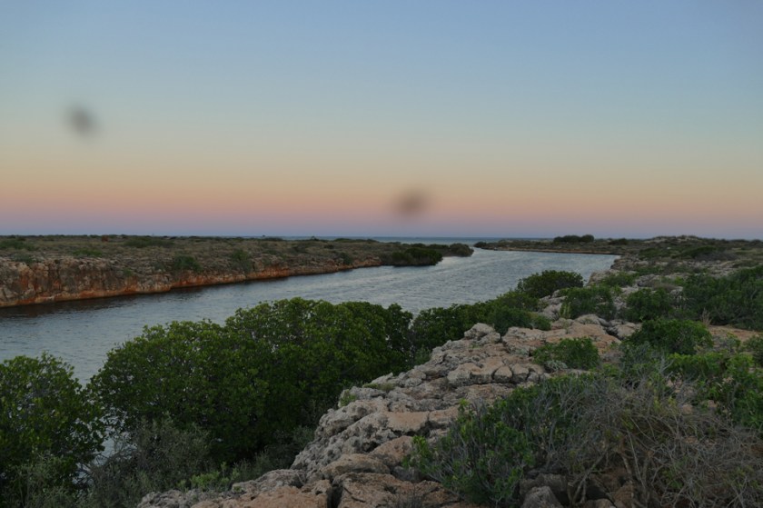 Early morning hike with flies