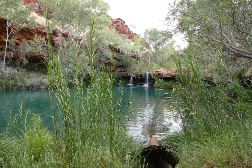 Fern Pool