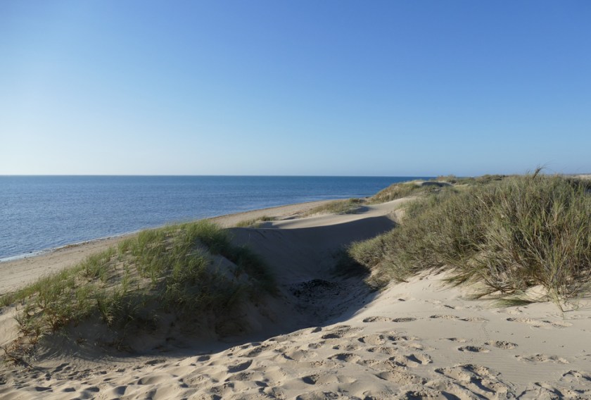 Sand dunes at Yardie Creek