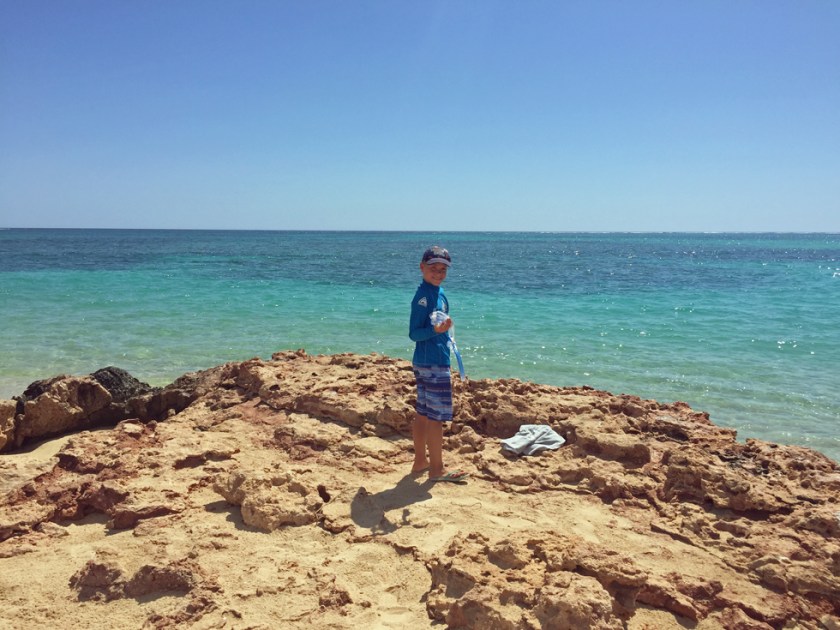 Snorkelling at Osprey Bay