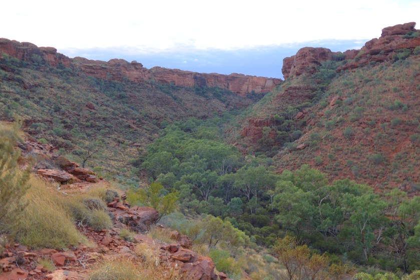 Entering Kings Canyon