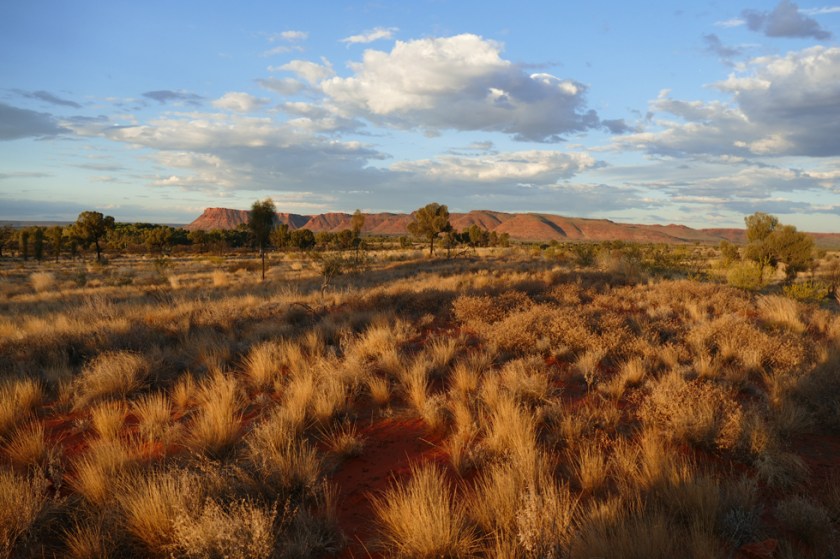 George Gill Range