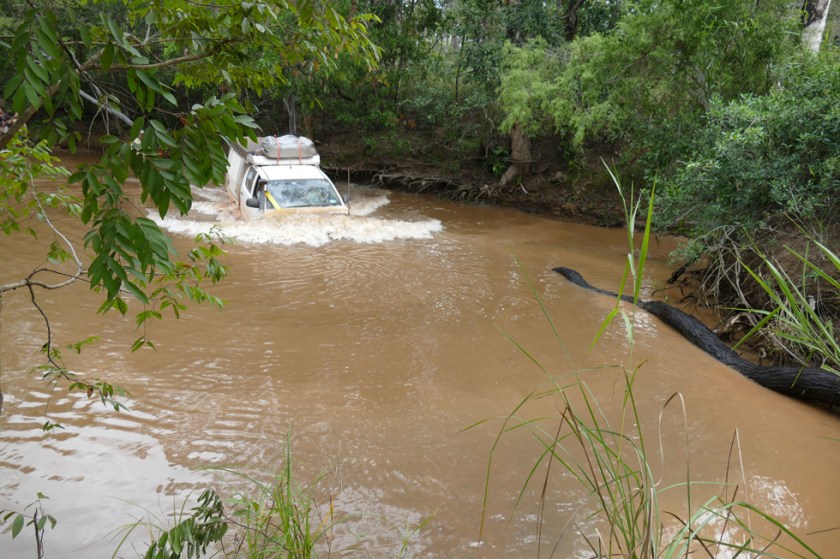 Driving through Palm Creek