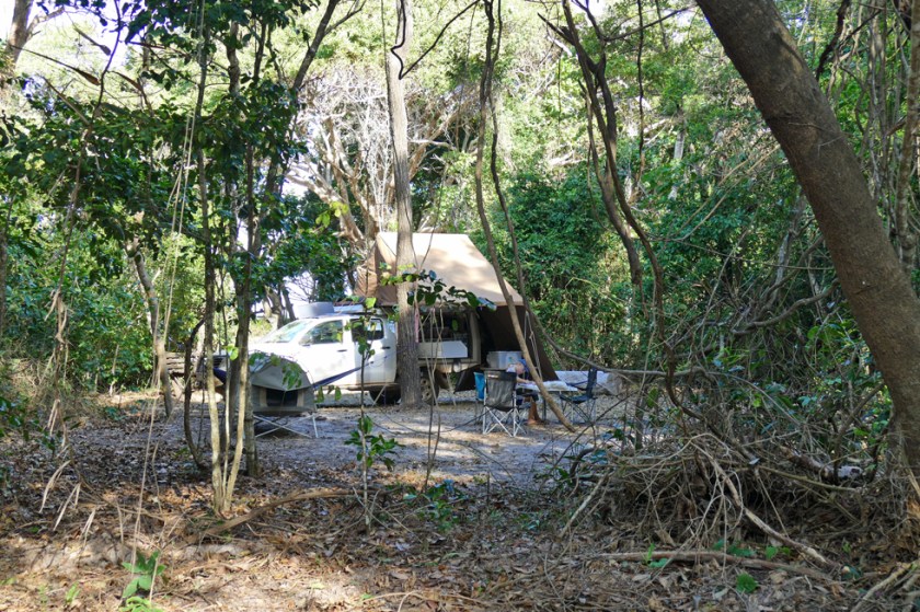 Living in the jungle at Chili Beach