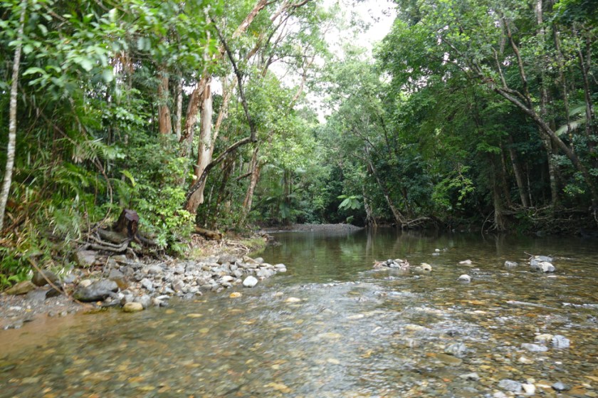 On the Bloomfiel Track