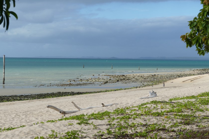 Mutee Head at low tide