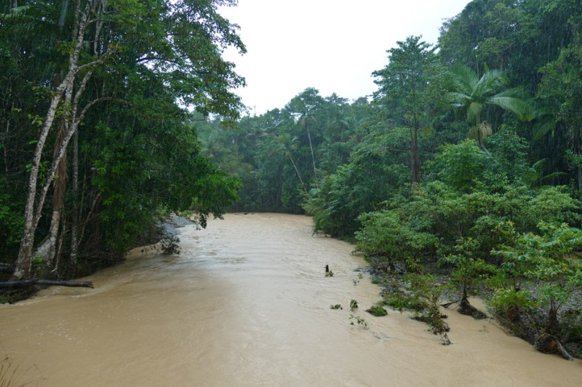 River along Bloomfield Track