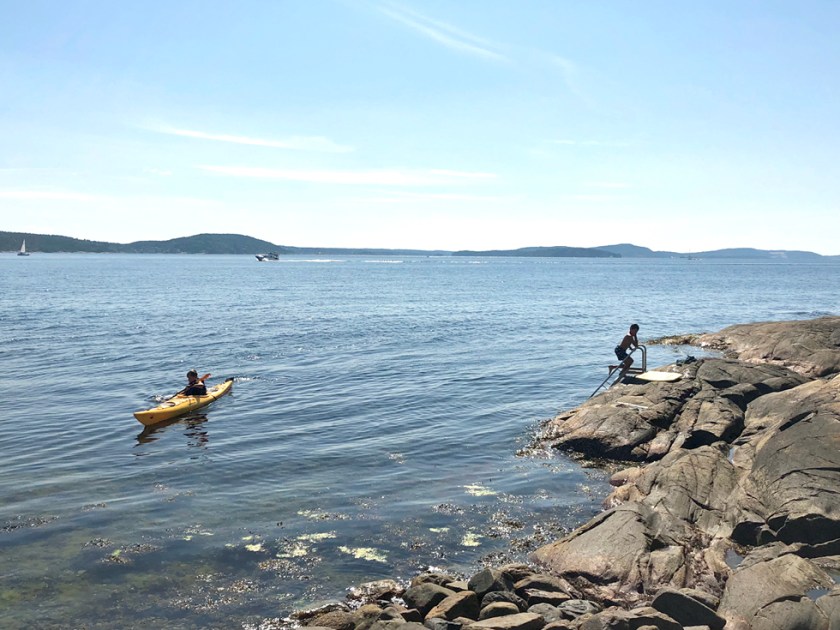 Visiting friends at Filtvet