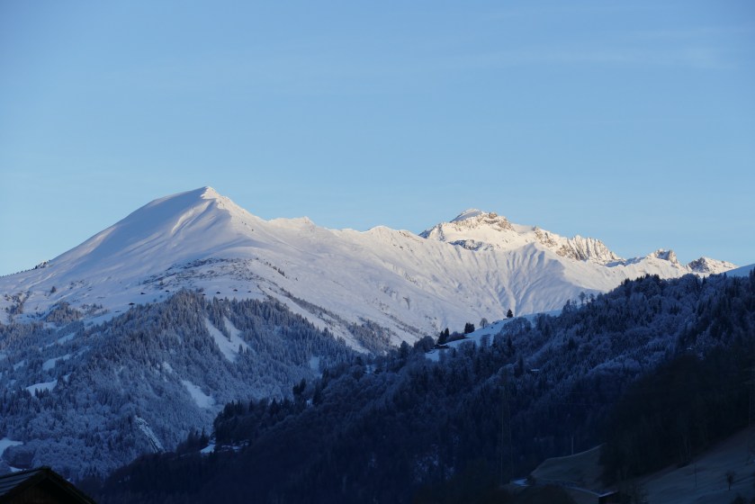 View from our kitchen window