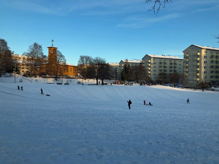 Ilaparken - our backyard