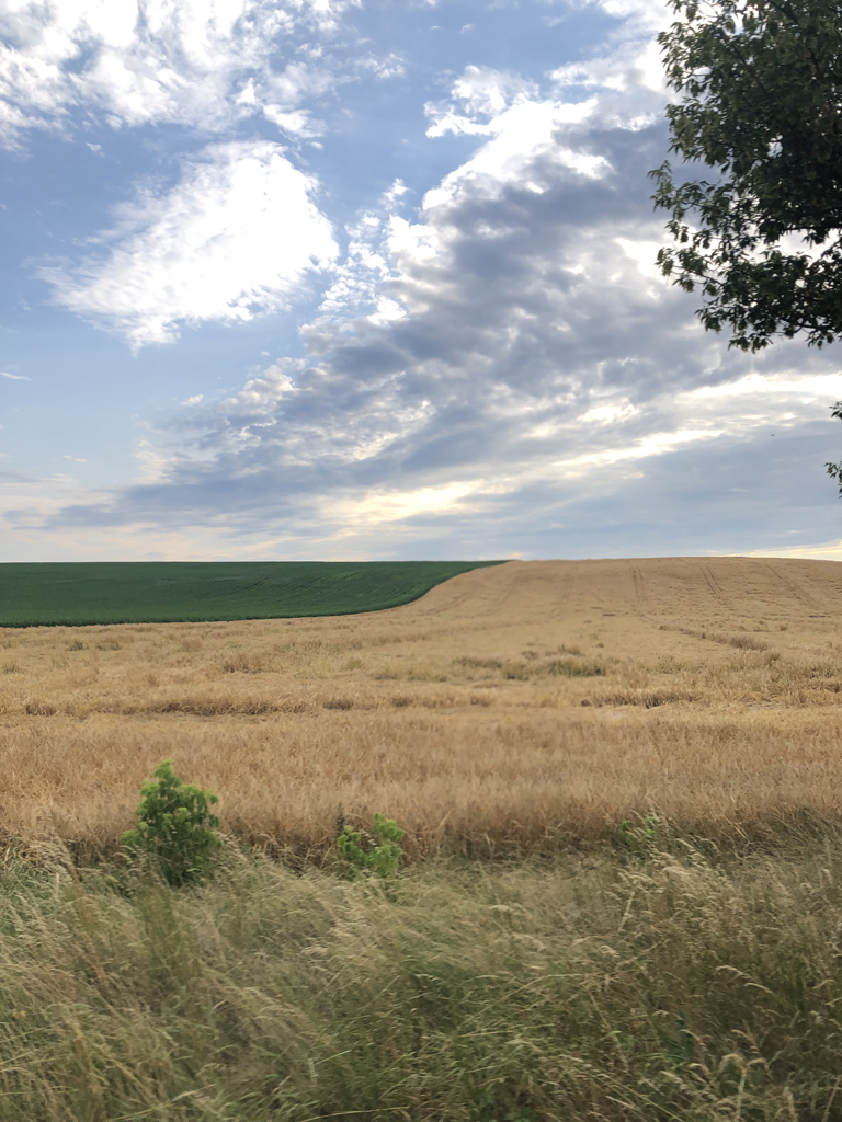 Fields in Hungary